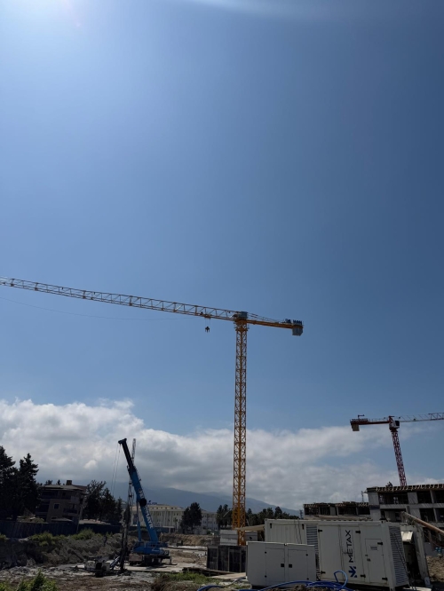 10 Tonluk Şaseli Kule Vinç